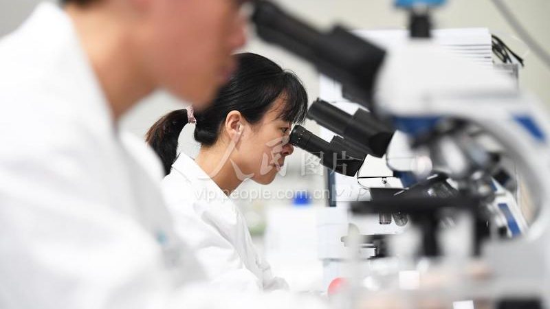 北京生物试剂售后服务：如何保障实验顺利进行**