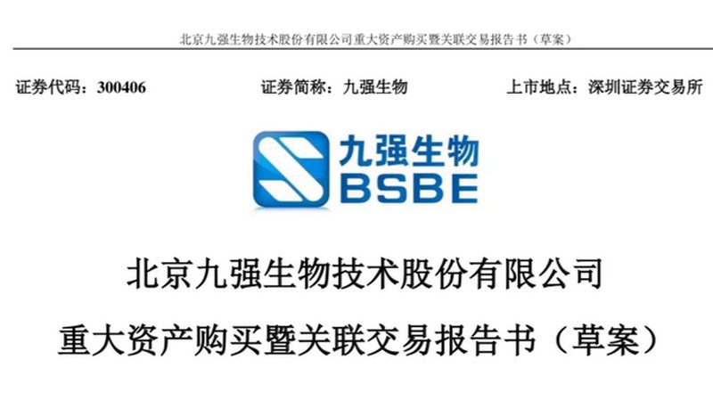 细胞工厂生物反应器定制流程揭秘：从设计到投产的关键步骤