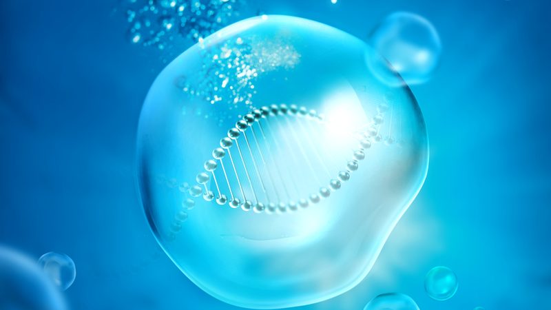 上海生物试剂，如何选择可靠的生产厂家？**