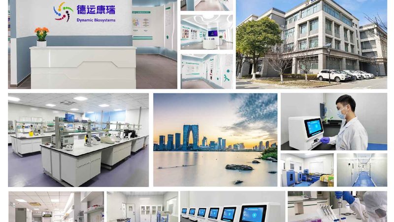基因检测报告解读：关键步骤与注意事项