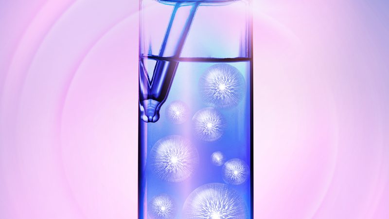 细胞工厂加盟代理，你了解这些关键要素吗？**