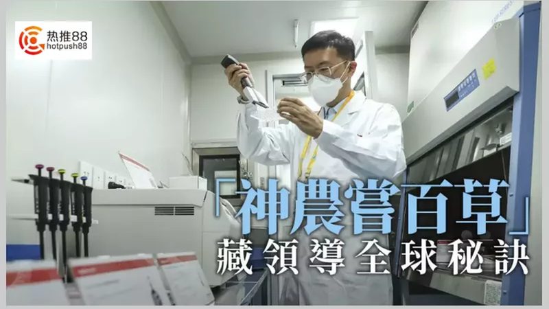 微生物培养基：揭秘十大品牌背后的技术秘密**