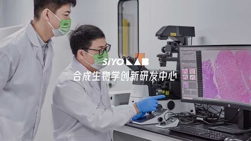 中小型药企生物医药外包，如何选择可靠合作伙伴？**
