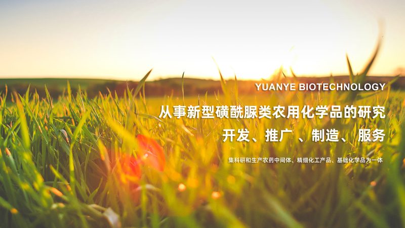 全外显子组测序与单基因病检测：如何选择更适合的技术