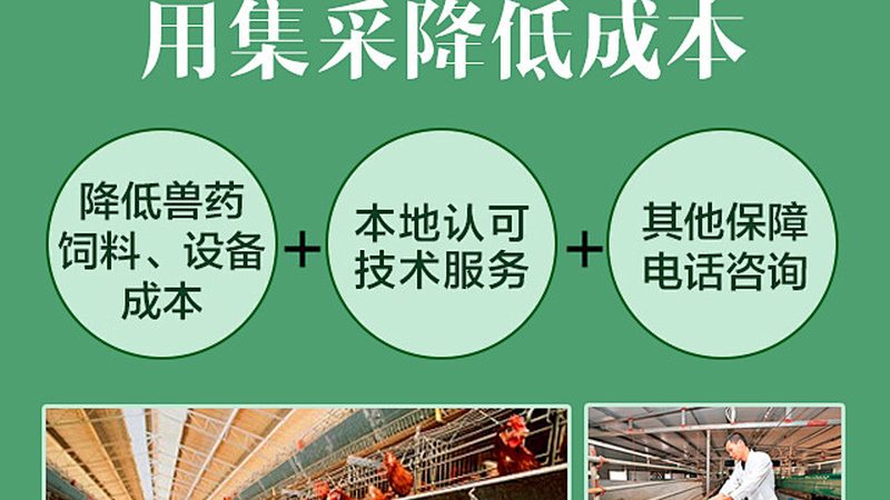 医院PCR核酸检测流程解析：从样本处理到结果输出