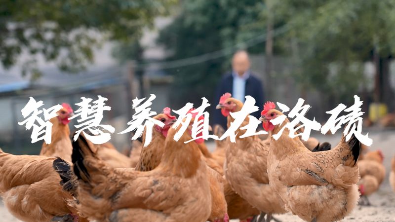 离心管：实验室中的“隐形英雄